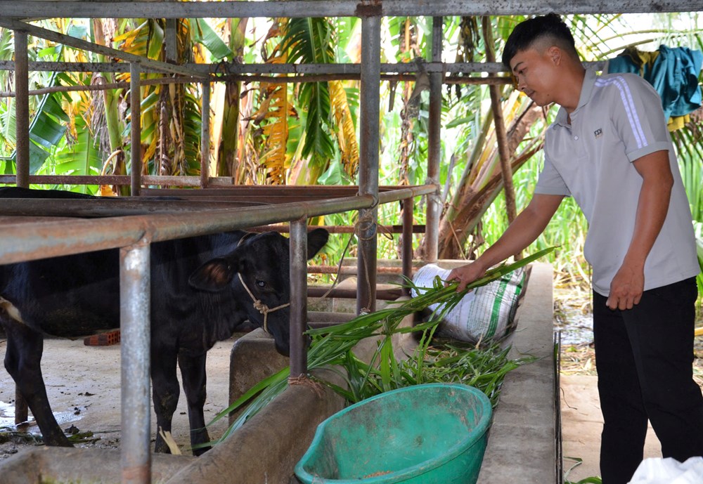 Mộ Đức nỗ lực giảm nghèo sau khi thực hiện chính quyền địa phương 2 cấp - ảnh 1