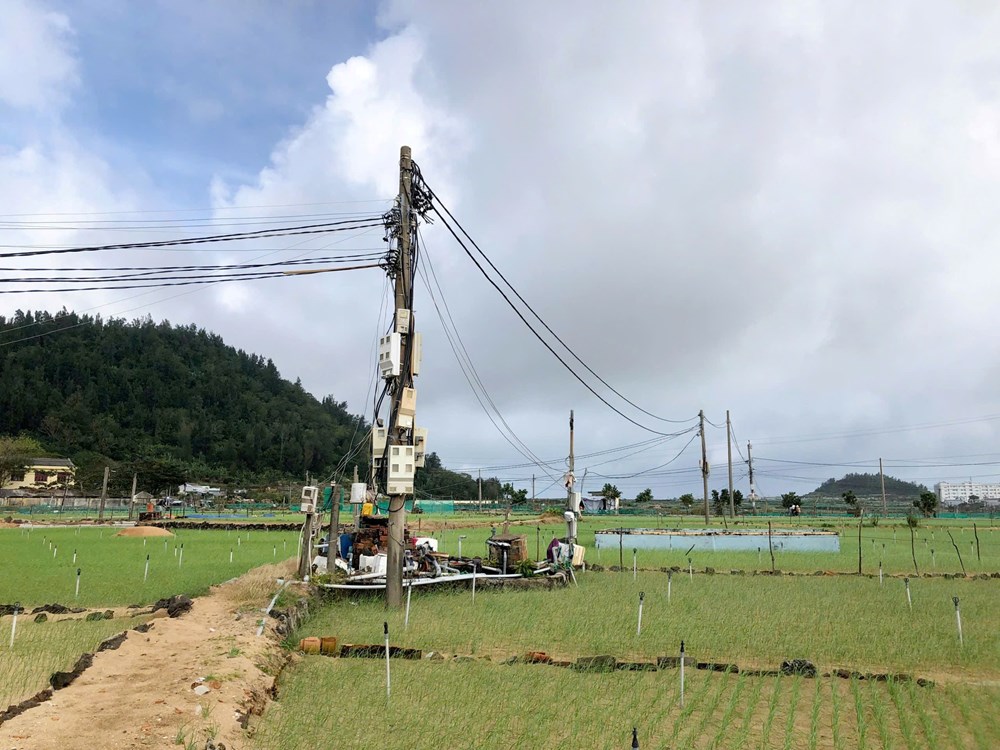 Lý Sơn linh hoạt đưa điện ra đồng - quyết sách hiệu quả giúp người dân vượt khó - ảnh 1