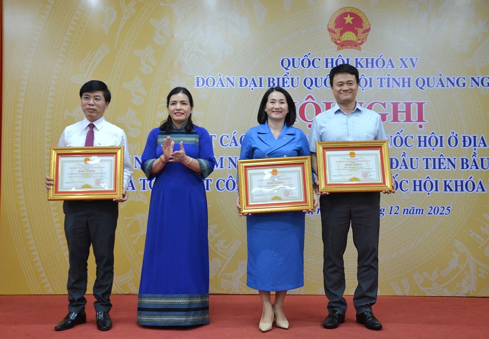 Gặp mặt các thế hệ đại biểu Quốc hội tỉnh nhân kỷ niệm 80 năm Ngày Tổng tuyển cử đầu tiên - ảnh 8