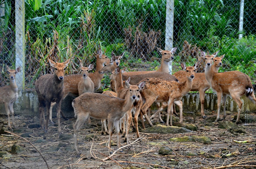 Lan toả tinh thần khởi nghiệp của thanh niên nông thôn - ảnh 4