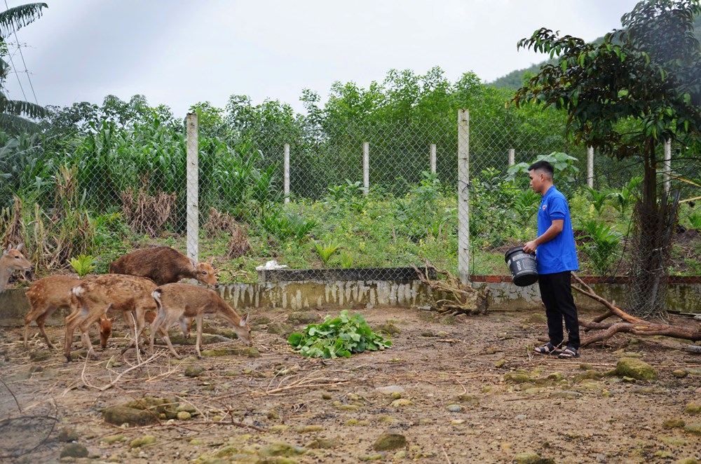 Lan toả tinh thần khởi nghiệp của thanh niên nông thôn - ảnh 1