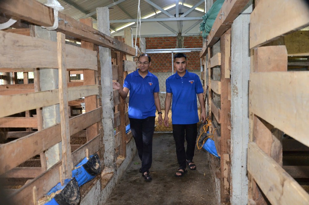 Lan toả tinh thần khởi nghiệp của thanh niên nông thôn - ảnh 3