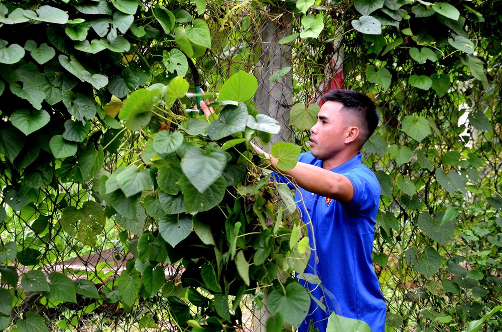 Lan toả tinh thần khởi nghiệp của thanh niên nông thôn - ảnh 5