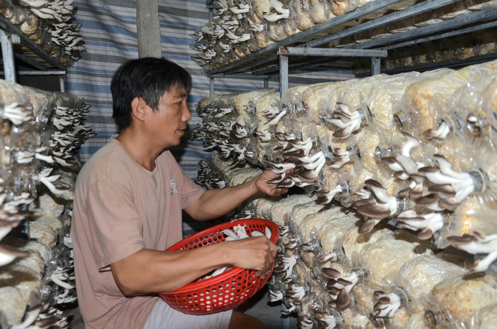 Vốn tín dụng chính sách “mở đường” khởi nghiệp cho lao động nông thôn - ảnh 3