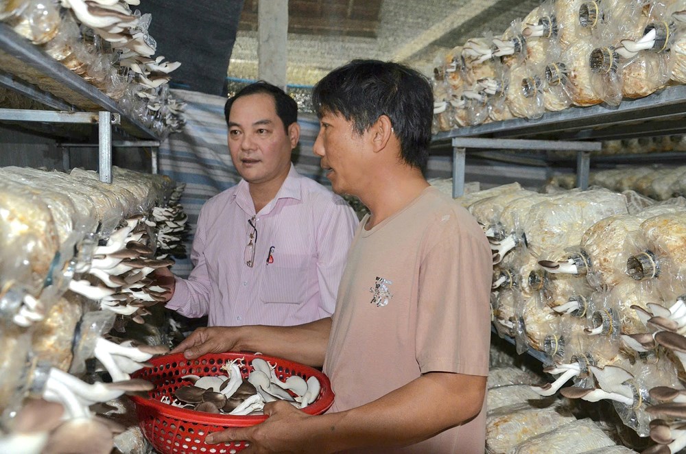 Vốn tín dụng chính sách “mở đường” khởi nghiệp cho lao động nông thôn - ảnh 1