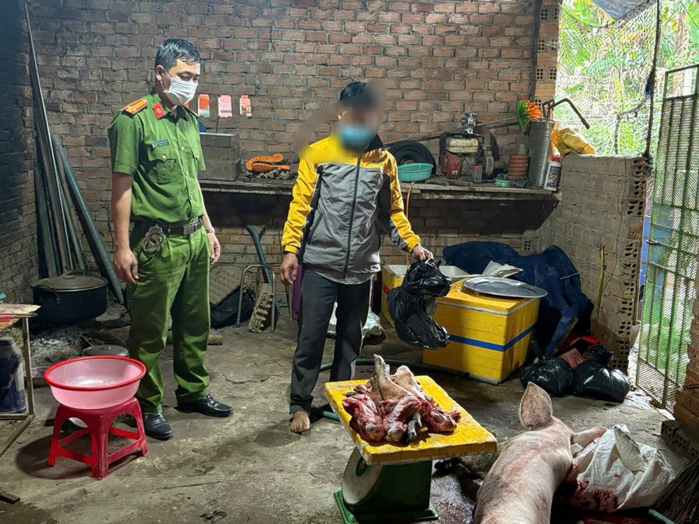 Phát hiện hộ gia đình mua bán lợn chết, giết mổ đưa ra thị trường - ảnh 1