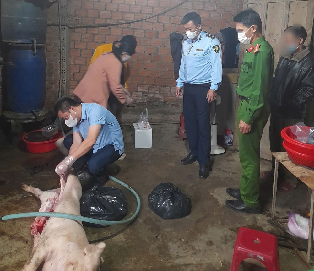 Phát hiện hộ gia đình mua bán lợn chết, giết mổ đưa ra thị trường - ảnh 3