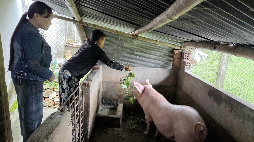 “Cánh tay nối dài” trong công tác giảm nghèo ở Mộ Đức - ảnh 4