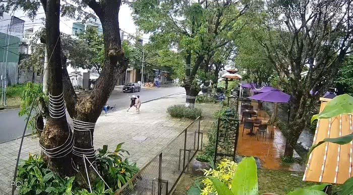 Lan truyền video ghi cảnh người đàn ông dùng cây đánh 3 bé trai trên đường - ảnh 1