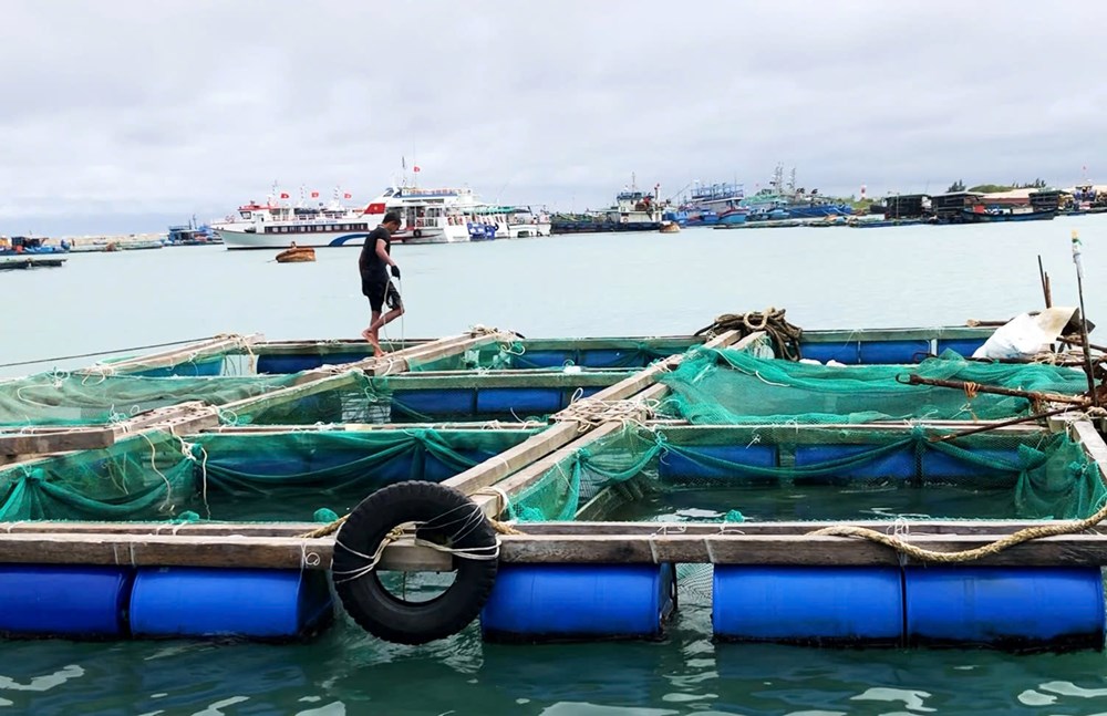 Cảnh báo bão sớm - “lá chắn” bảo vệ sinh kế của người dân - ảnh 2