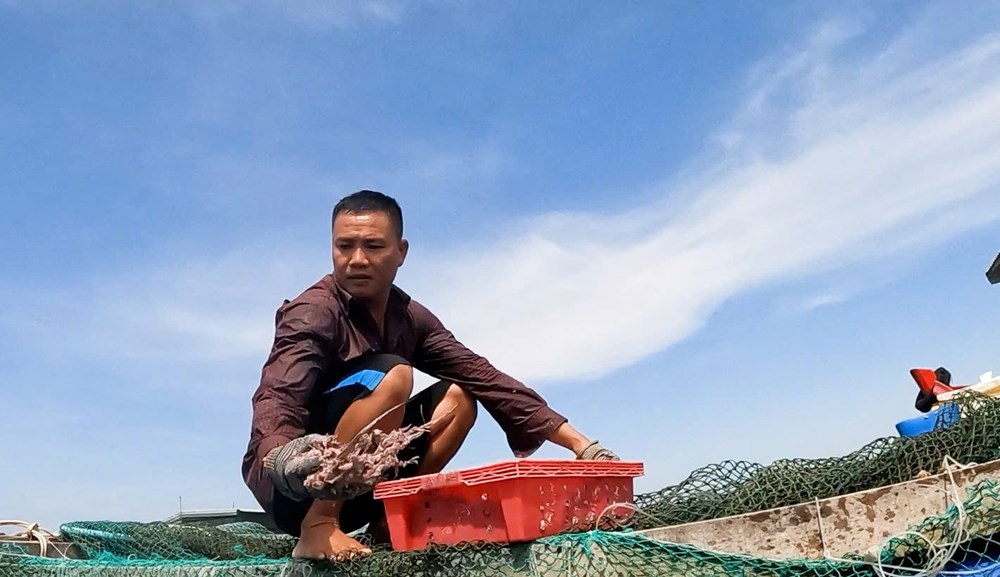 Cảnh báo bão sớm - “lá chắn” bảo vệ sinh kế của người dân - ảnh 1