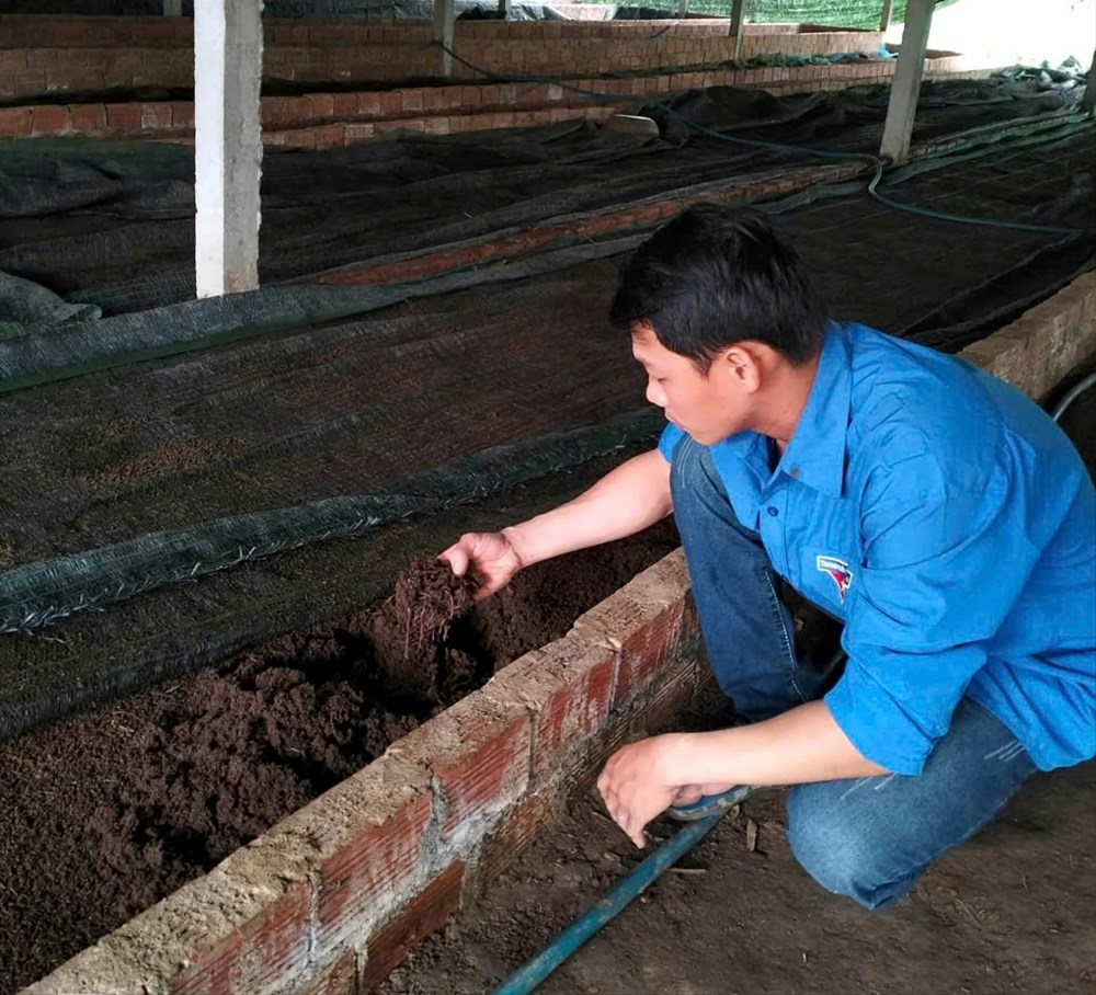 Thanh niên chủ động phát triển kinh tế từ mô hình quy mô nhỏ - ảnh 1