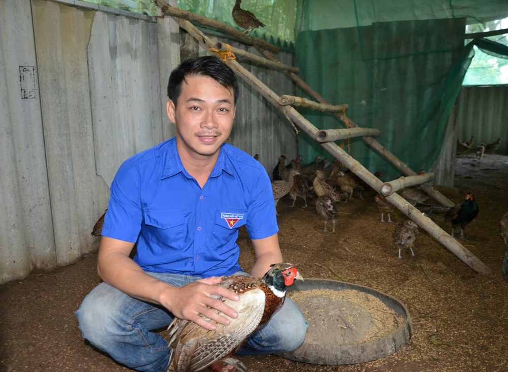Thanh niên chủ động phát triển kinh tế từ mô hình quy mô nhỏ - ảnh 3
