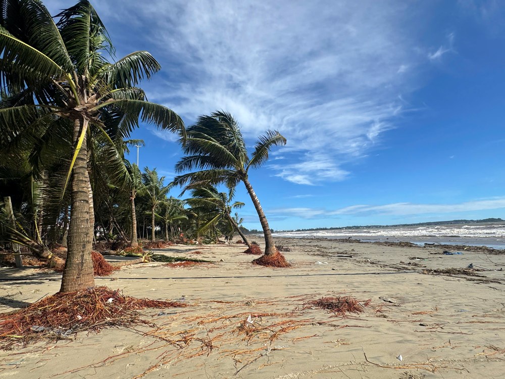 Bãi biển Mỹ Khê bị xâm thực, sạt lở nghiêm trọng - ảnh 7