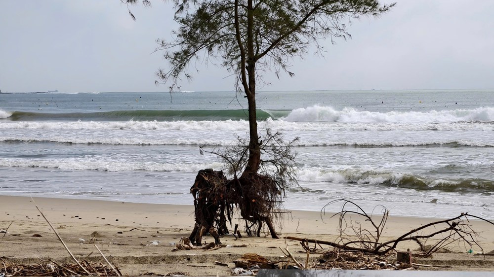 Bãi biển Mỹ Khê bị xâm thực, sạt lở nghiêm trọng - ảnh 6