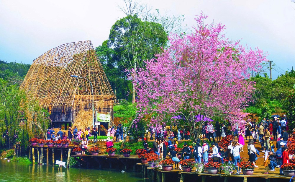 Quảng Ngãi đạt 3.700 tỉ đồng doanh thu từ du lịch  - ảnh 1