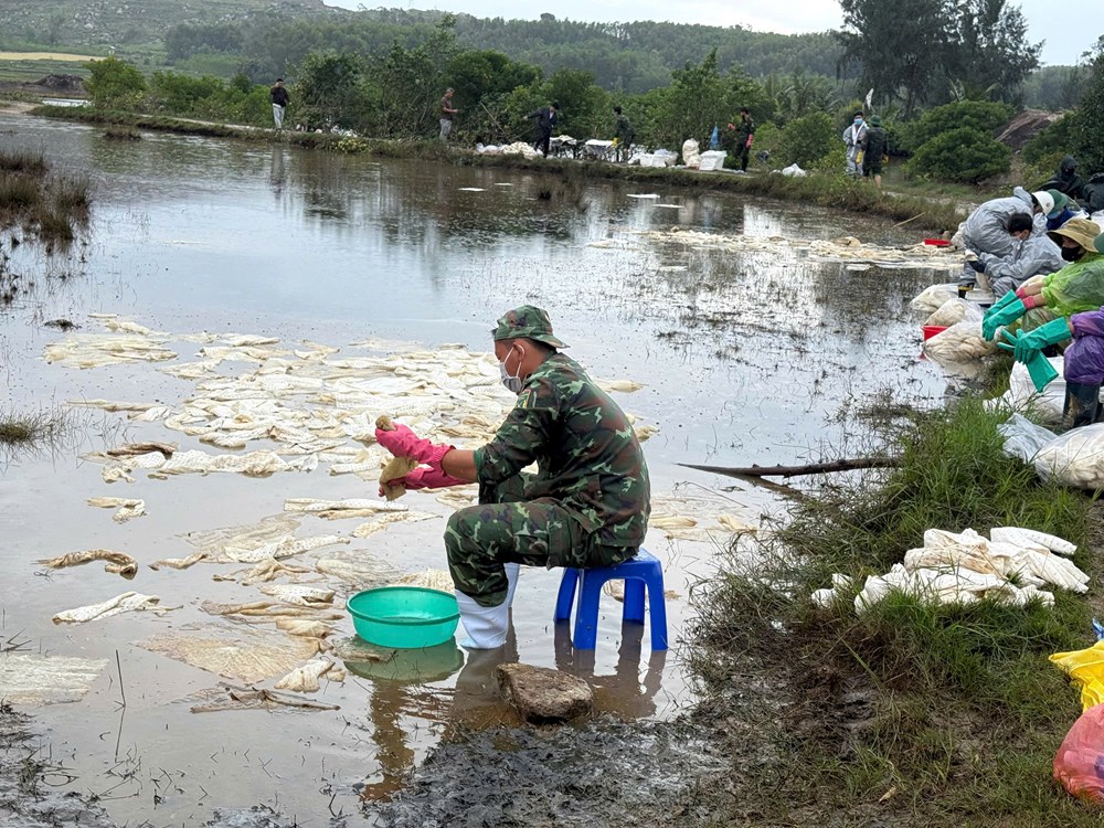 Khẩn trương xử lý số dầu tràn nguy cơ gây ô nhiễm môi trường ở xã Vạn Tường - ảnh 1