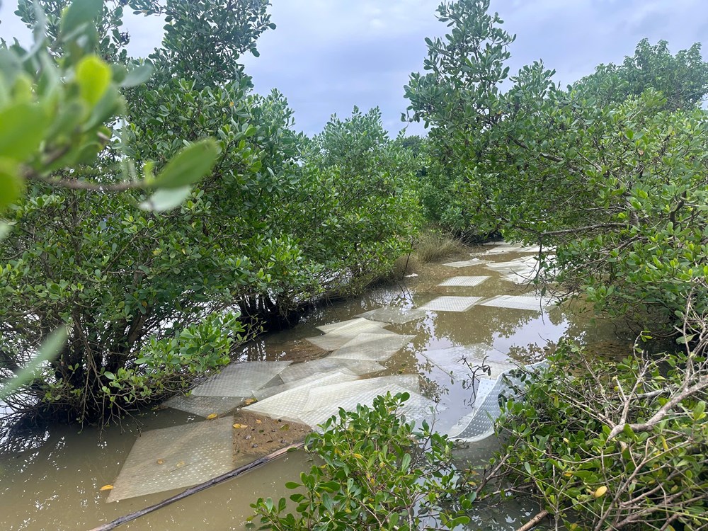 Khẩn trương xử lý số dầu tràn nguy cơ gây ô nhiễm môi trường ở xã Vạn Tường - ảnh 3