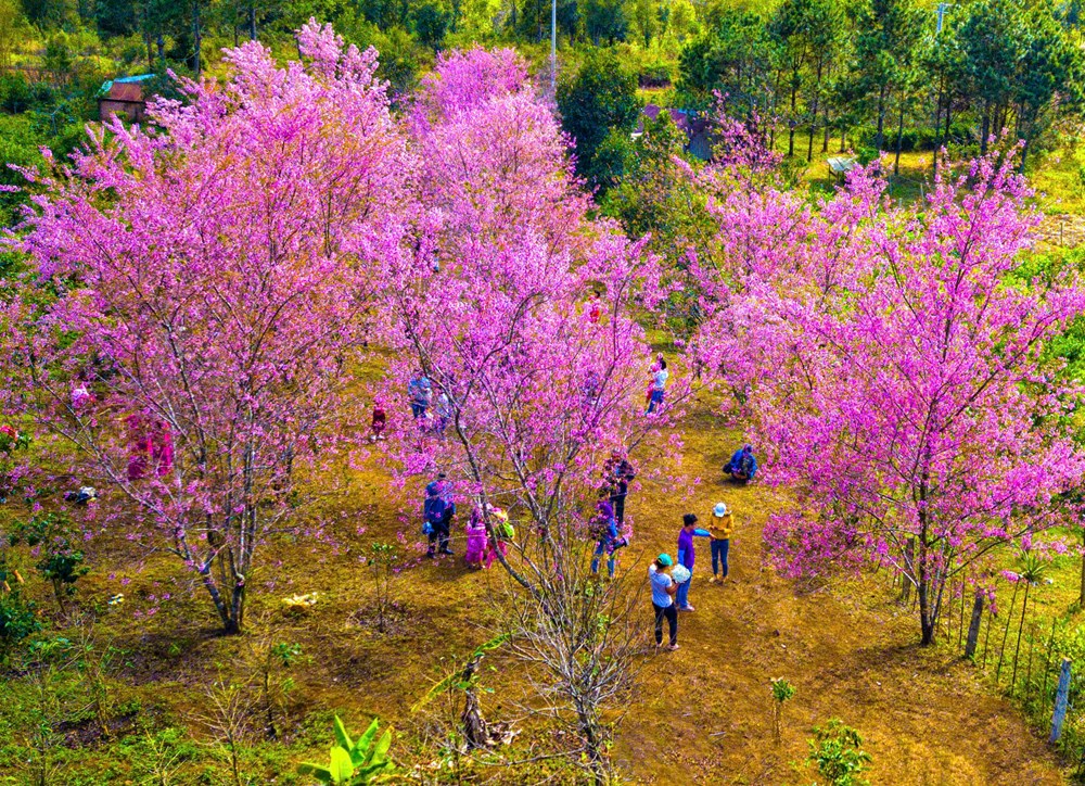 Sẵn sàng cho chuỗi sự kiện chào năm mới 2026 tại Quảng Ngãi - ảnh 1