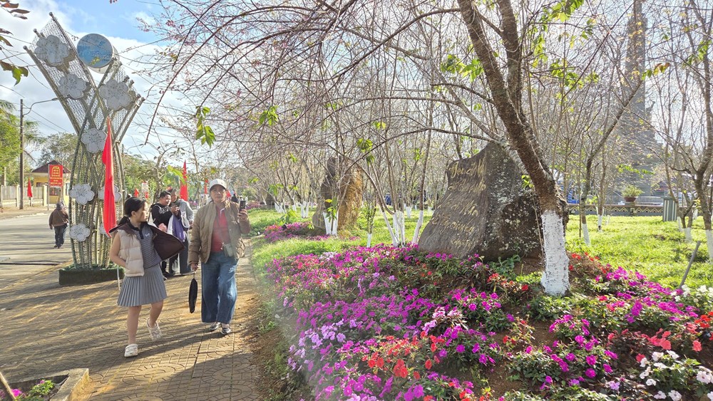 Hàng nghìn du khách đổ về Khu du lịch Măng Đen trong ngày đầu nghỉ lễ Tết Dương lịch - ảnh 3