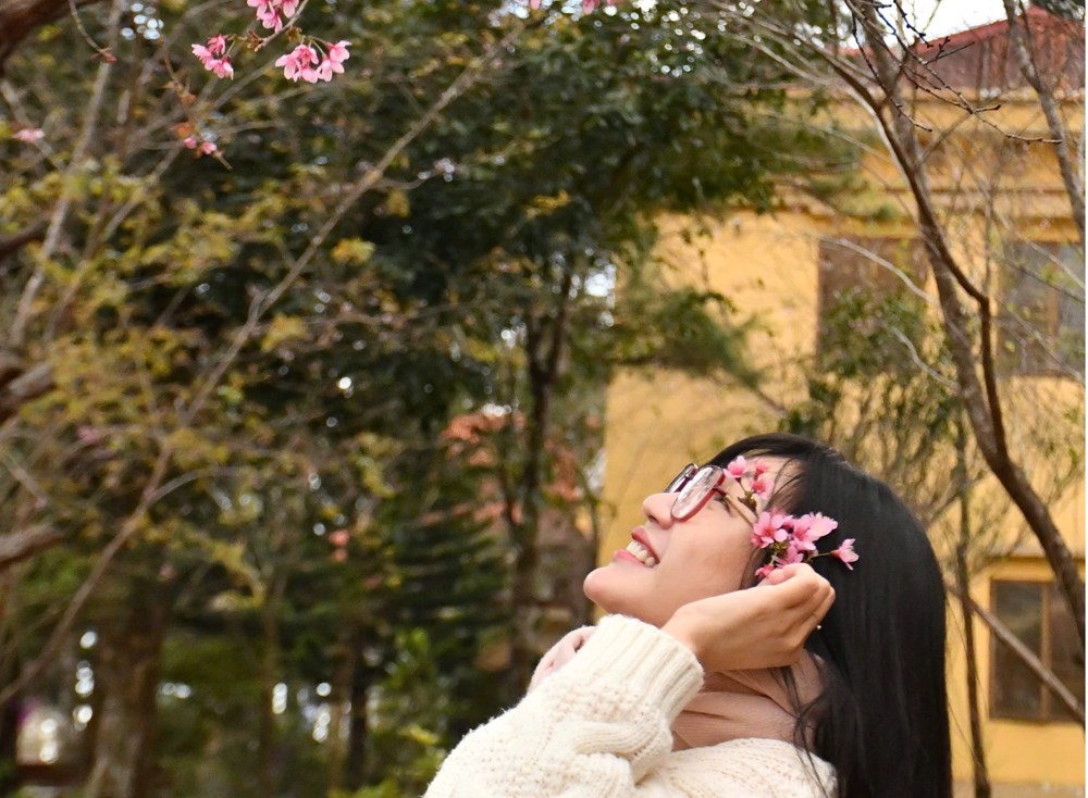 Thổn thức ngắm mai anh đào ở Măng Đen - ảnh 5