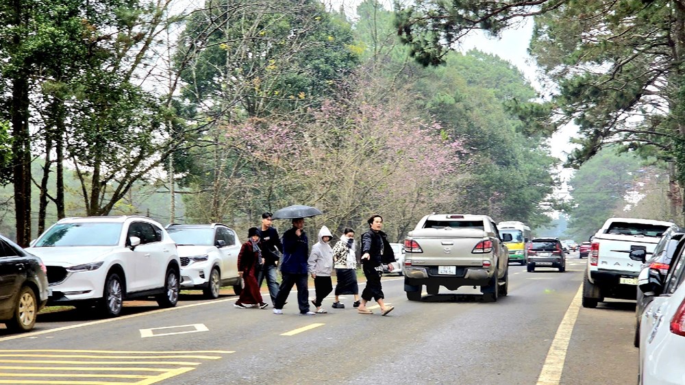 Khoảng 50 nghìn lượt khách đến Măng Đen trong dịp nghỉ lễ Tết Dương lịch  - ảnh 1