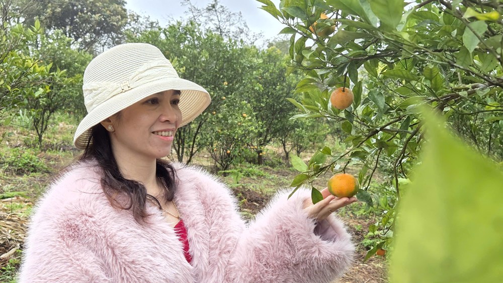 Du lịch sinh thái nông nghiệp ở Măng Đen hút khách - ảnh 2