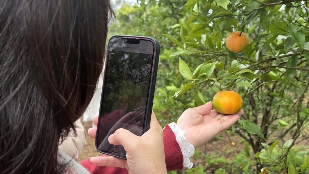 Du lịch sinh thái nông nghiệp ở Măng Đen hút khách - ảnh 3