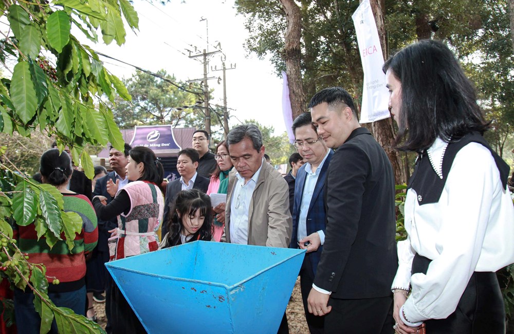 Du lịch Quảng Ngãi sôi động dịp Tết Dương lịch - ảnh 3