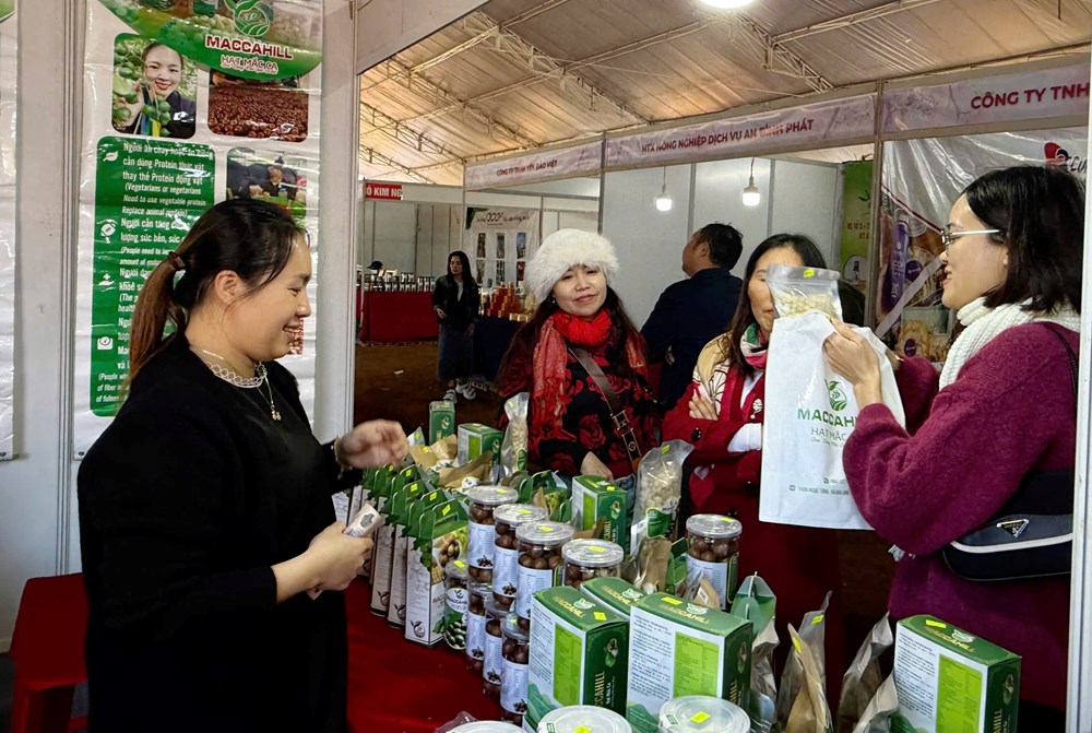 Du lịch Quảng Ngãi sôi động dịp Tết Dương lịch - ảnh 4