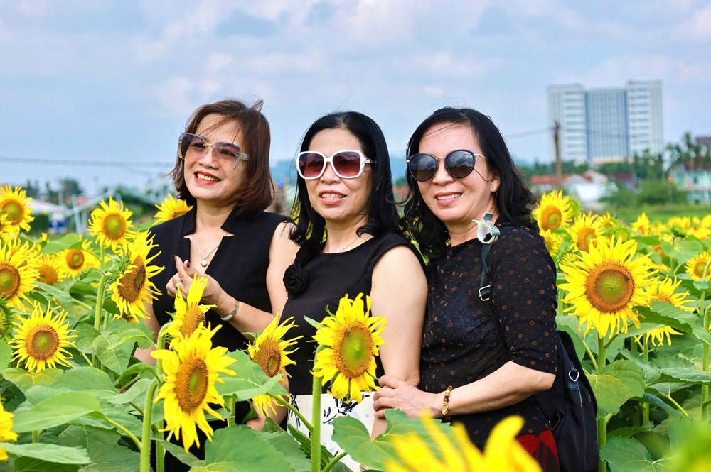 Cánh đồng hoa hướng dương hấp dẫn du khách ở Quảng Ngãi - ảnh 7