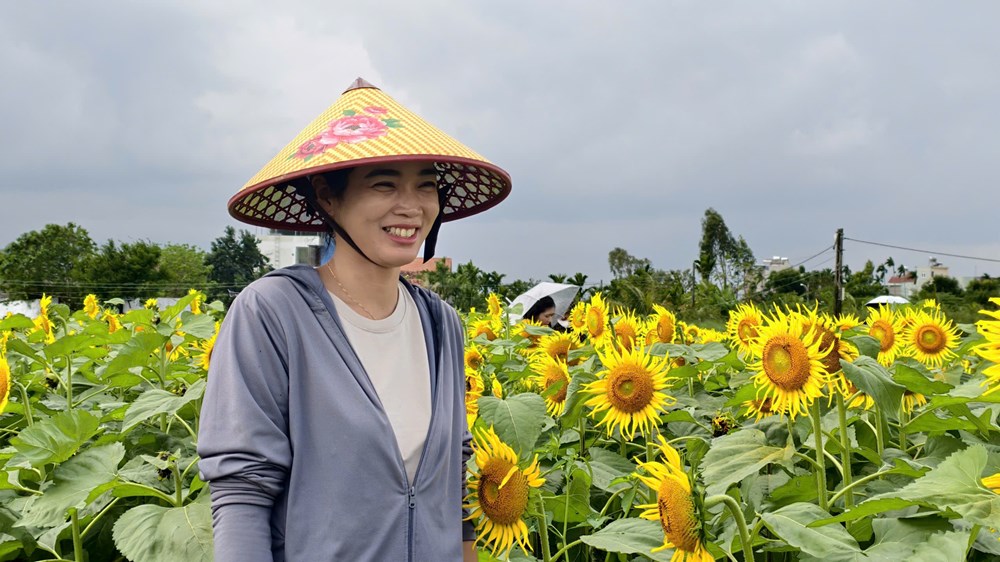 Cánh đồng hoa hướng dương hấp dẫn du khách ở Quảng Ngãi - ảnh 2