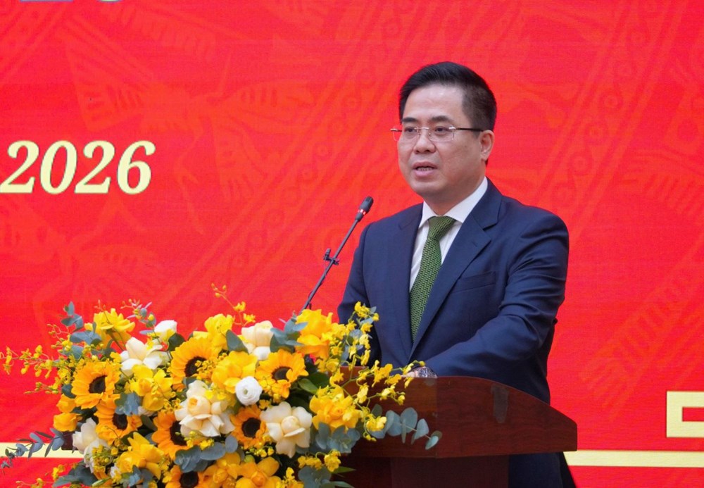 Quảng Ngãi: Phát triển kinh tế gắn với nâng cao đời sống văn hóa - xã hội - ảnh 5