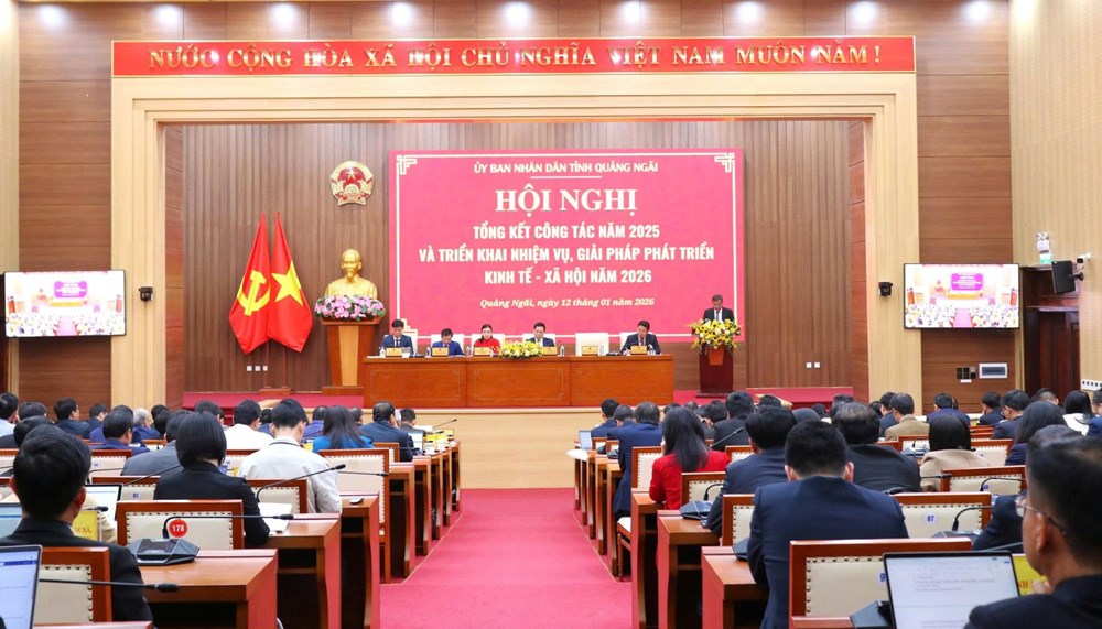 Quảng Ngãi: Phát triển kinh tế gắn với nâng cao đời sống văn hóa - xã hội - ảnh 3