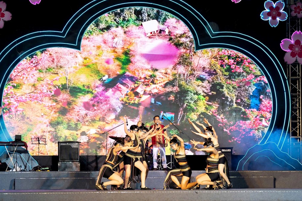 Quảng Ngãi rộn ràng chào Xuân Bính Ngọ 2026 với đêm nghệ thuật và pháo hoa - ảnh 3