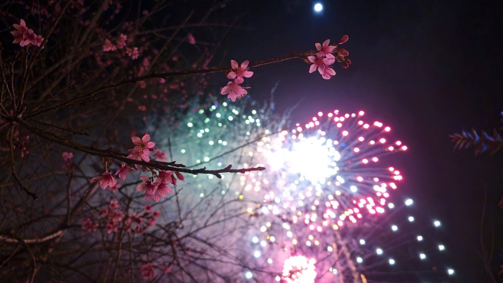 Quảng Ngãi rộn ràng chào Xuân Bính Ngọ 2026 với đêm nghệ thuật và pháo hoa - ảnh 2