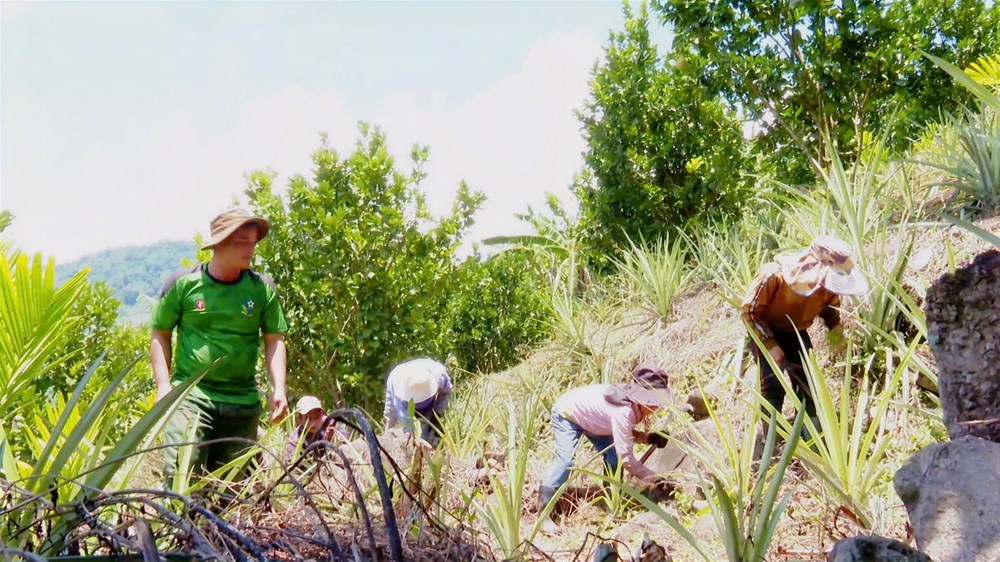 “Hạt nhân” phát triển kinh tế vùng đồng bào Ca Dong - ảnh 3