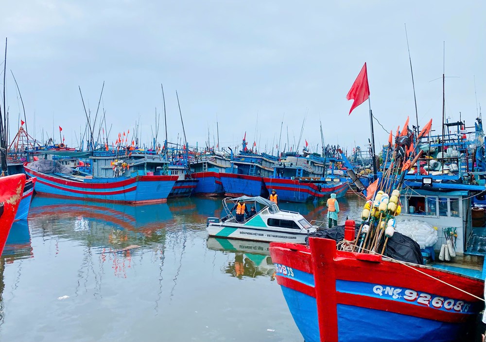 Gỡ “thẻ vàng” IUU – cơ hội tái định vị kinh tế biển Quảng Ngãi - ảnh 1