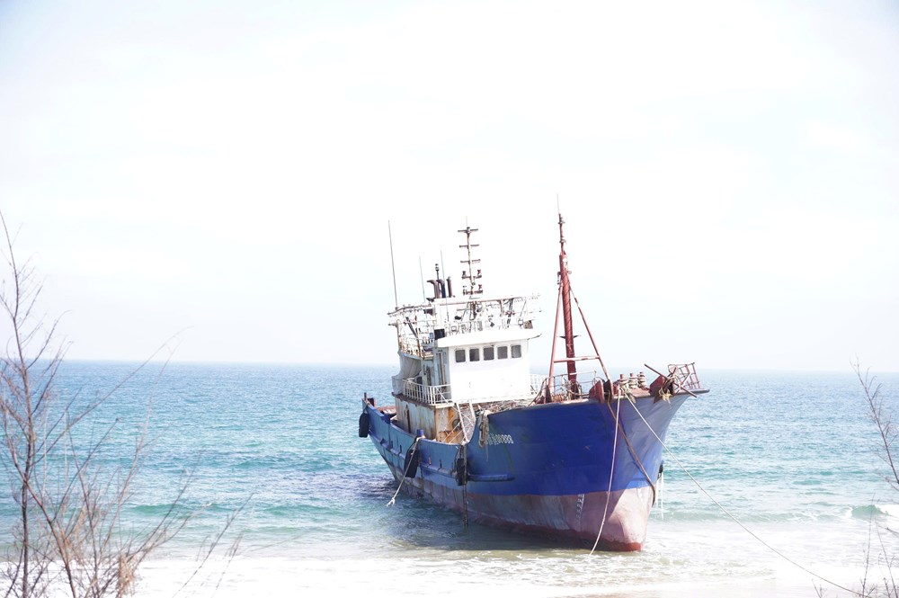 Yêu cầu xử lý nghiêm, ngăn ngừa sự cố môi trường biển - ảnh 3