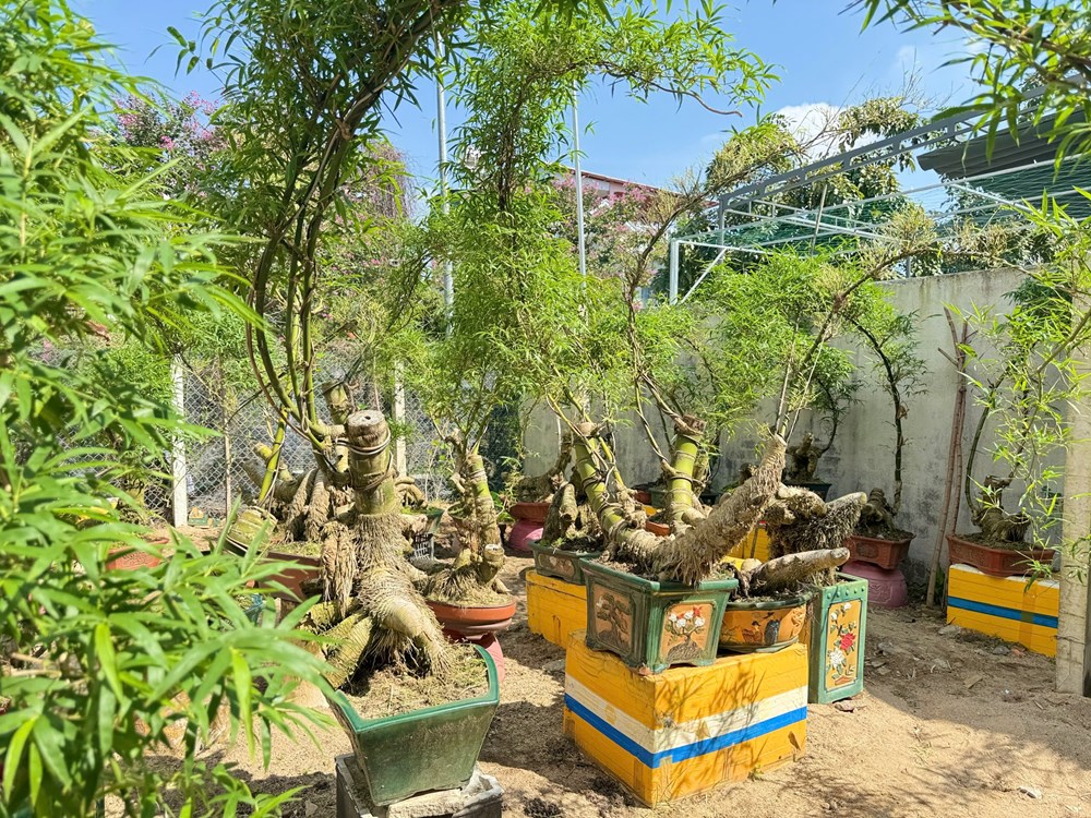 Thổi hồn tre Việt giữa lòng đô thị Quảng Ngãi - ảnh 4