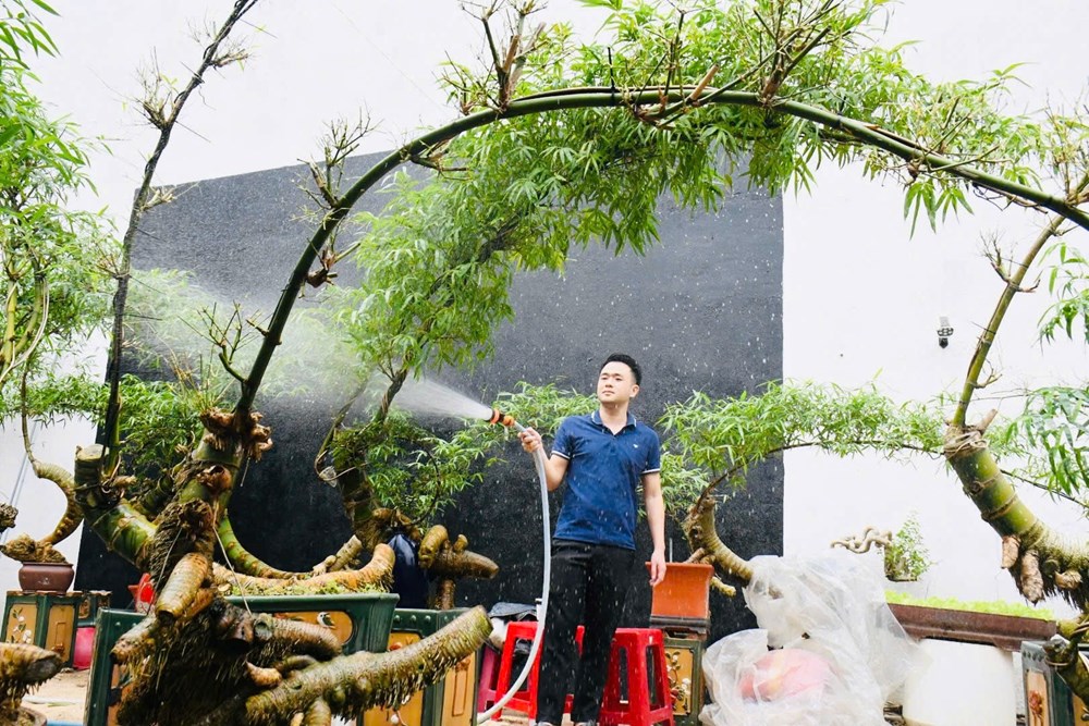 Thổi hồn tre Việt giữa lòng đô thị Quảng Ngãi - ảnh 1