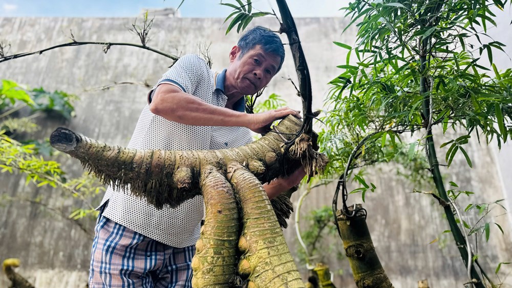 Thổi hồn tre Việt giữa lòng đô thị Quảng Ngãi - ảnh 3