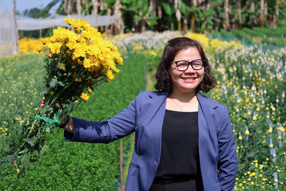 Rực rỡ sắc cúc An Châu, gọi Xuân về bên bờ sông Trà Bồng - ảnh 10