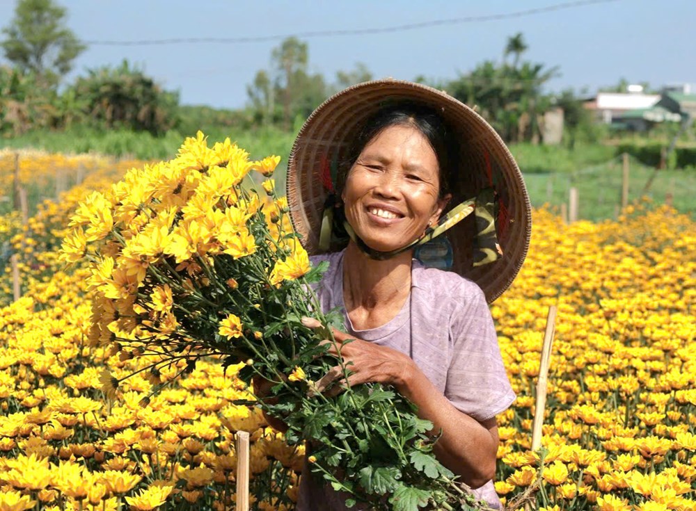 Rực rỡ sắc cúc An Châu, gọi Xuân về bên bờ sông Trà Bồng - ảnh 1