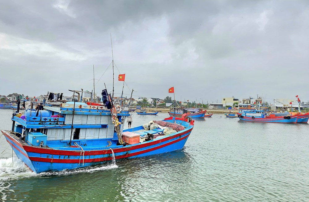 Rộn ràng nhịp biển những ngày giáp Tết - ảnh 4