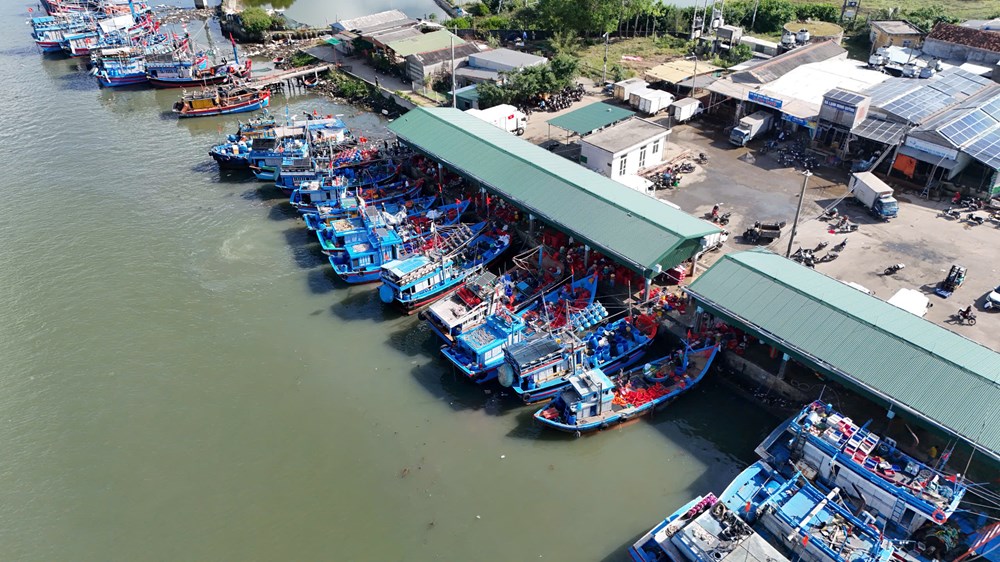 Rộn ràng nhịp biển những ngày giáp Tết - ảnh 1