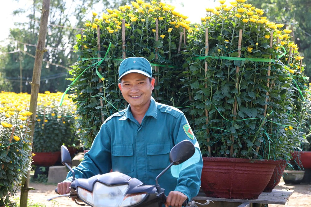 Hoa cúc Nghĩa Hiệp được mùa, được giá dịp Tết Nguyên đán - ảnh 3
