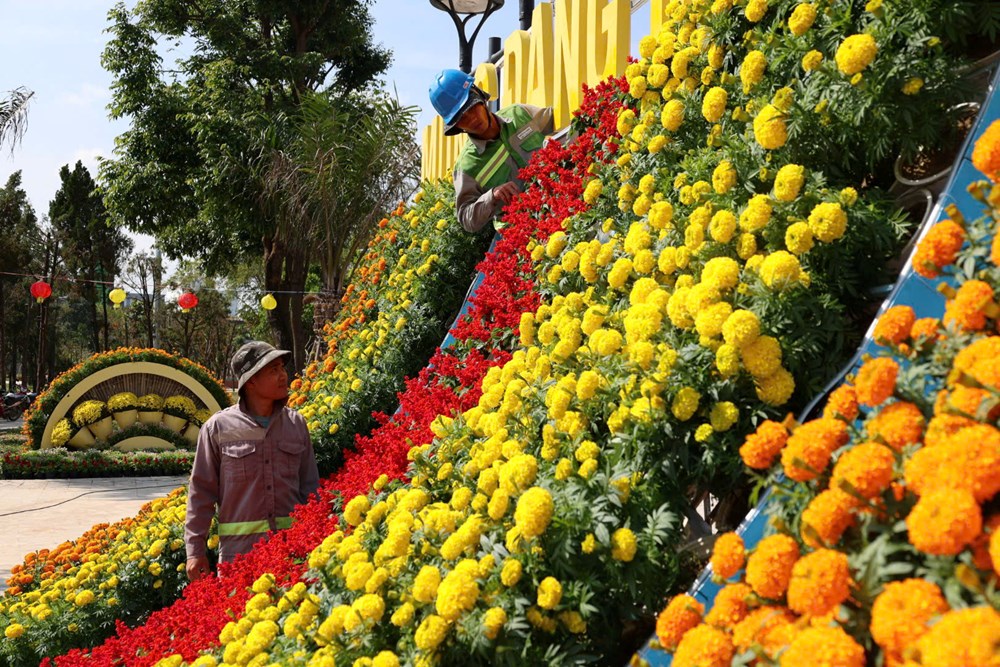 Quảng Ngãi rực rỡ sắc Xuân, sẵn sàng đón Tết - ảnh 3