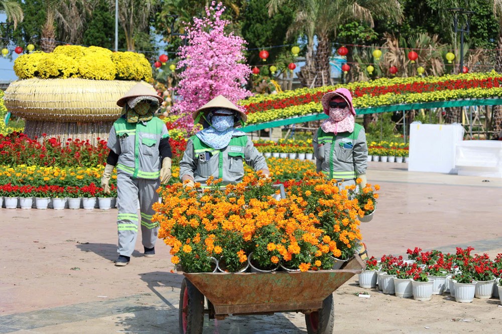 Quảng Ngãi rực rỡ sắc Xuân, sẵn sàng đón Tết - ảnh 1