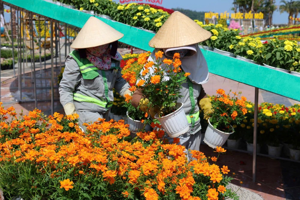 Quảng Ngãi rực rỡ sắc Xuân, sẵn sàng đón Tết - ảnh 2